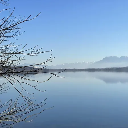 Koeberich Waging am See