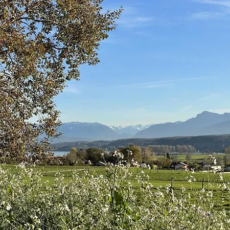Köberich Waging am See