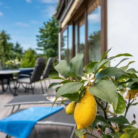 Köberich Apartment