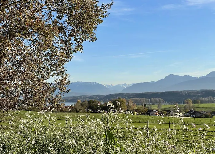 Koeberich Waging am See